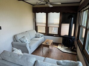 Smart TV, chimenea, reproductor de DVD y libros 