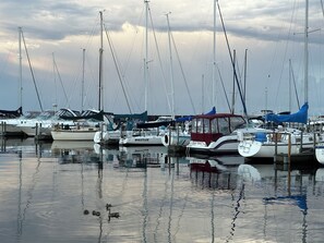 Marina