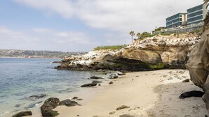 A coastal beach with rocky cliffs, clear water, and a distant cityscape. - La Jolla Living by Avantstay A+ Location Private Backyard Lounge (La Jolla)