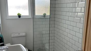 Shower, hair dryer, towels, toilet paper