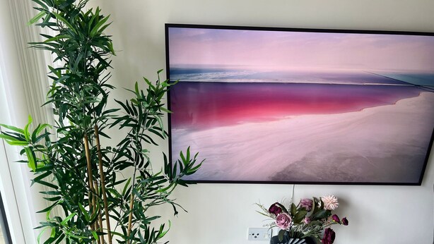 A room with a large flat-screen TV mounted on the wall, a bamboo plant, a vase with flowers, and a white speaker on a table. - Impeccable 1-bed Apartment (Barking)