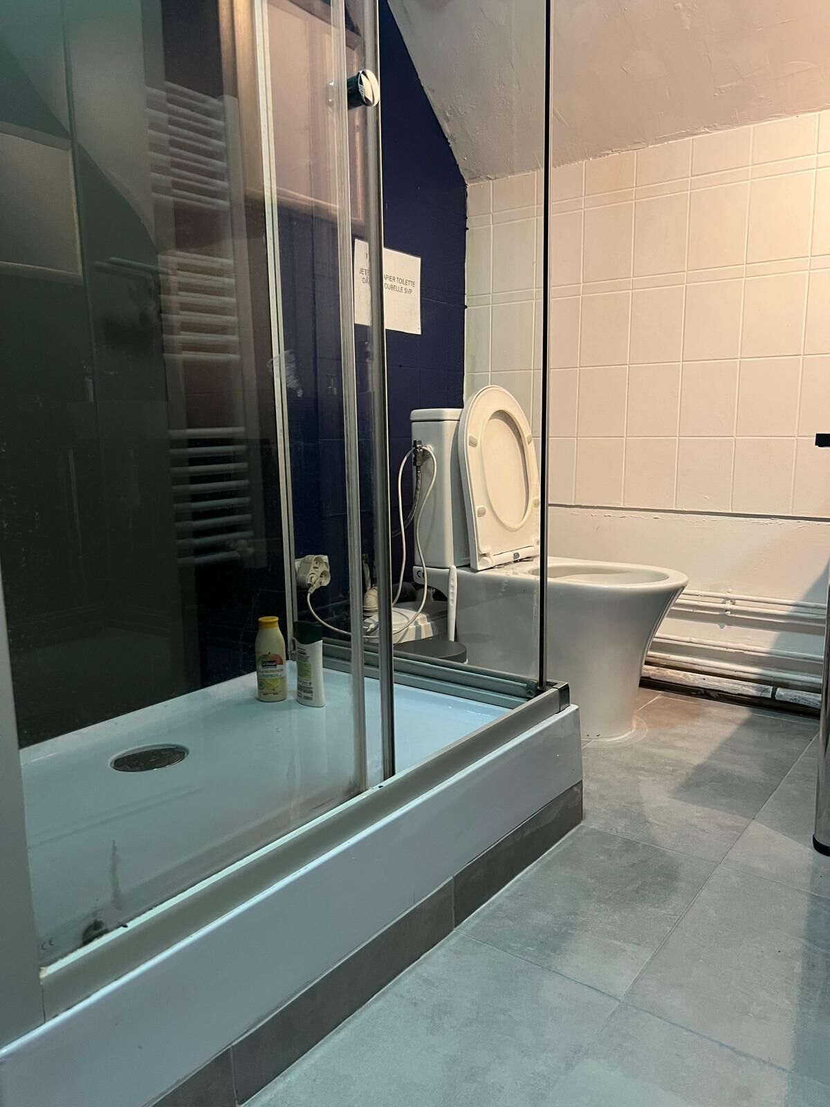 Serviettes fournies, savon, shampoing, papier toilette