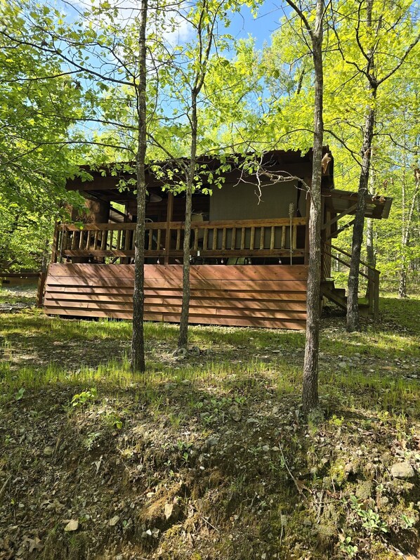 Exterior - The True Eagle Cabin (Mena)