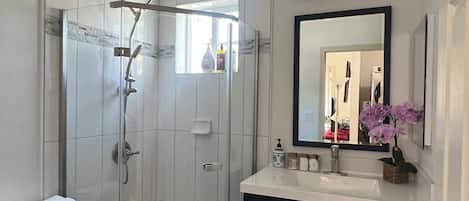 Shower, hair dryer, towels, soap