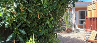 Cozy cottage Richmond CA . Pet friendly  30 min. To SF  2 bedrooms 1 bathroom