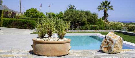 المنطقة المحيطة بالمنشأة