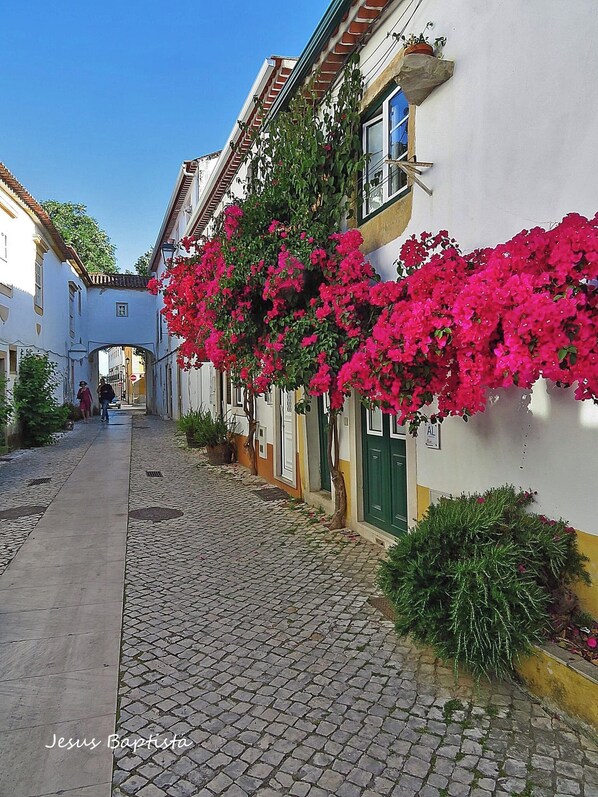 Property grounds - Peaceful Holiday Villa (Pedreira)