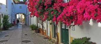 Peaceful Holiday Villa