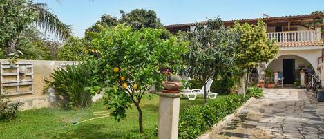 Àrea exterior de l'allotjament