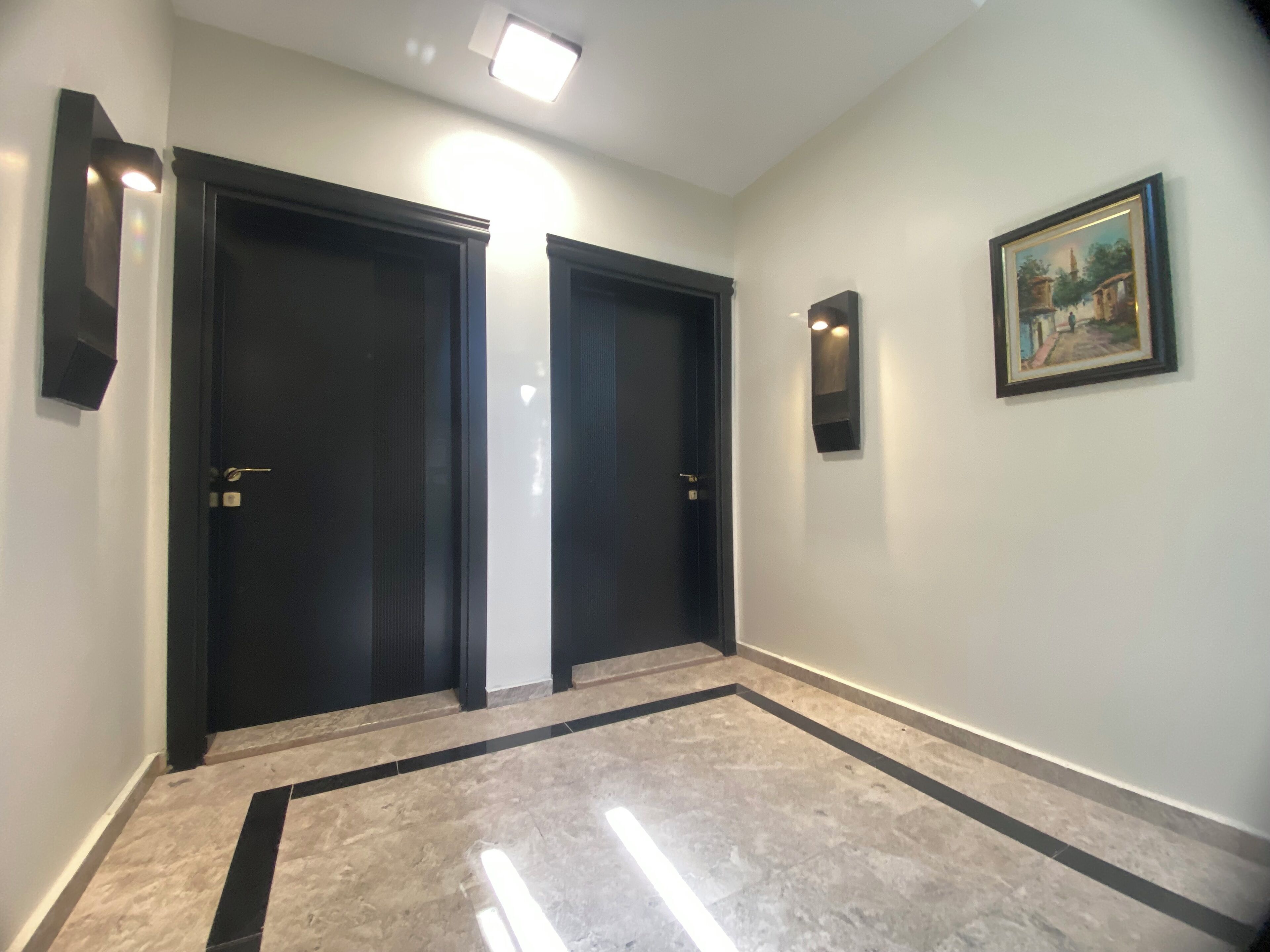 A hallway with two dark doors, a framed picture on the wall, and a light fixture on the ceiling.