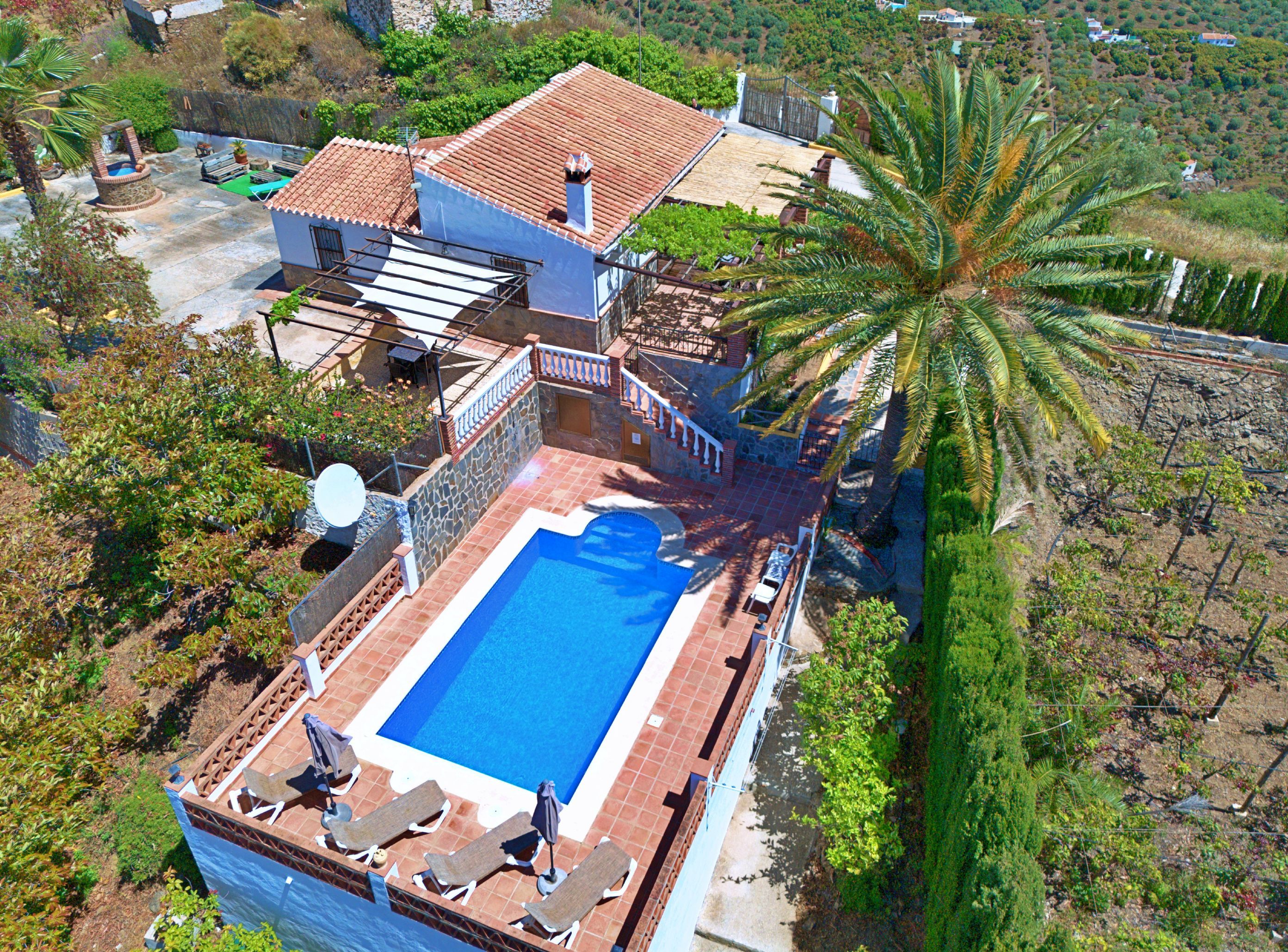 A residential property with a swimming pool, a patio with lounge chairs, and a large palm tree.
