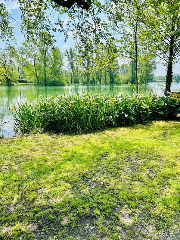 Property grounds - Maison Avec Accès Privé au lac - Petfriendly (Izon)