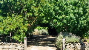 A stone pathway leading through a lush green area with trees and shrubs.