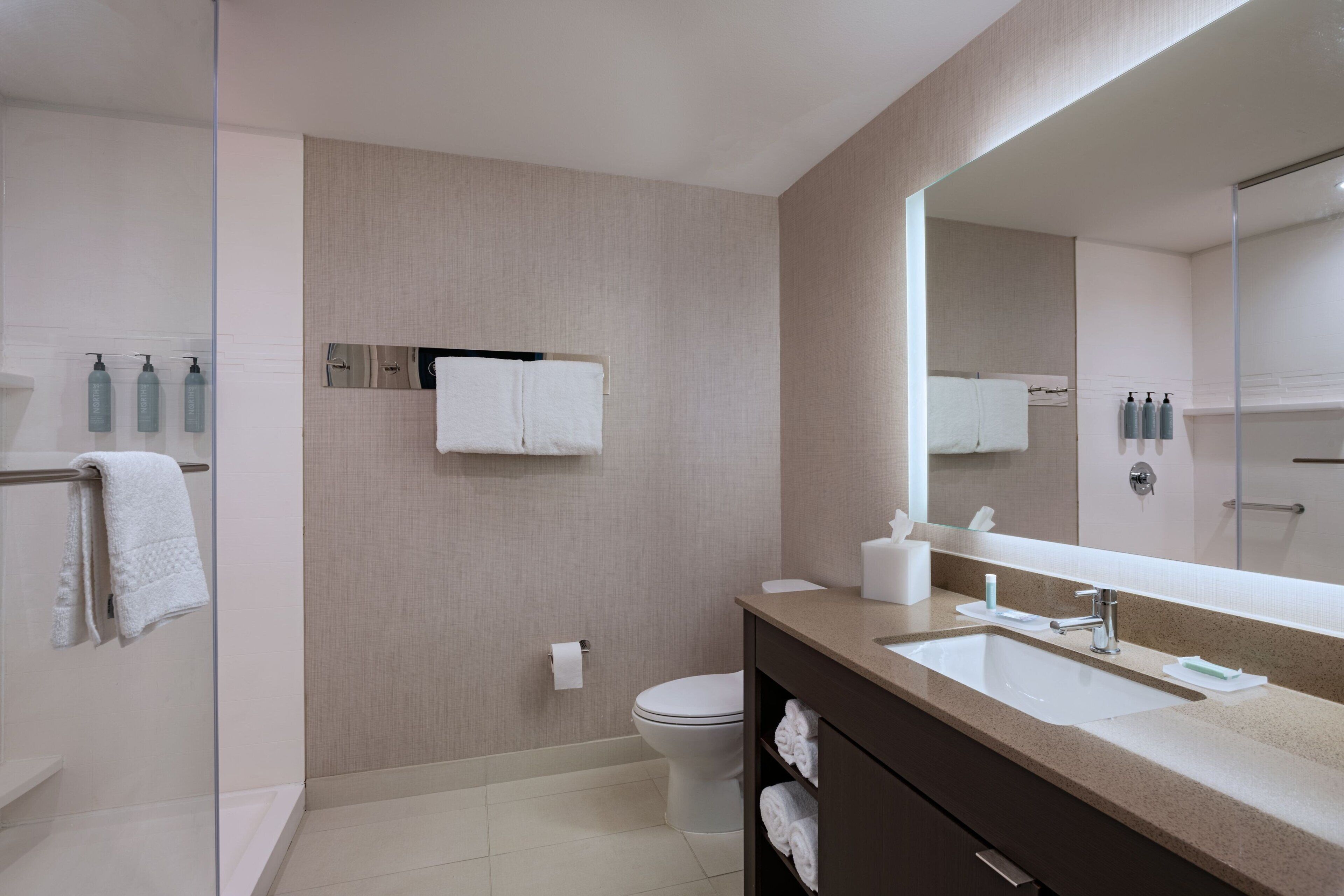 A modern bathroom with a glass shower enclosure, a large mirror, a sink with a vanity, and a toilet.