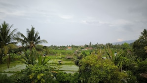 A lush green landscape with a variety of trees and a small pond. - Puri Raka Villa (Seririt)