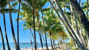 A beach lined with tall palm trees and a clear blue sky. - Luxury Spa Suite #220 Temple Palm Cove (Palm Cove)