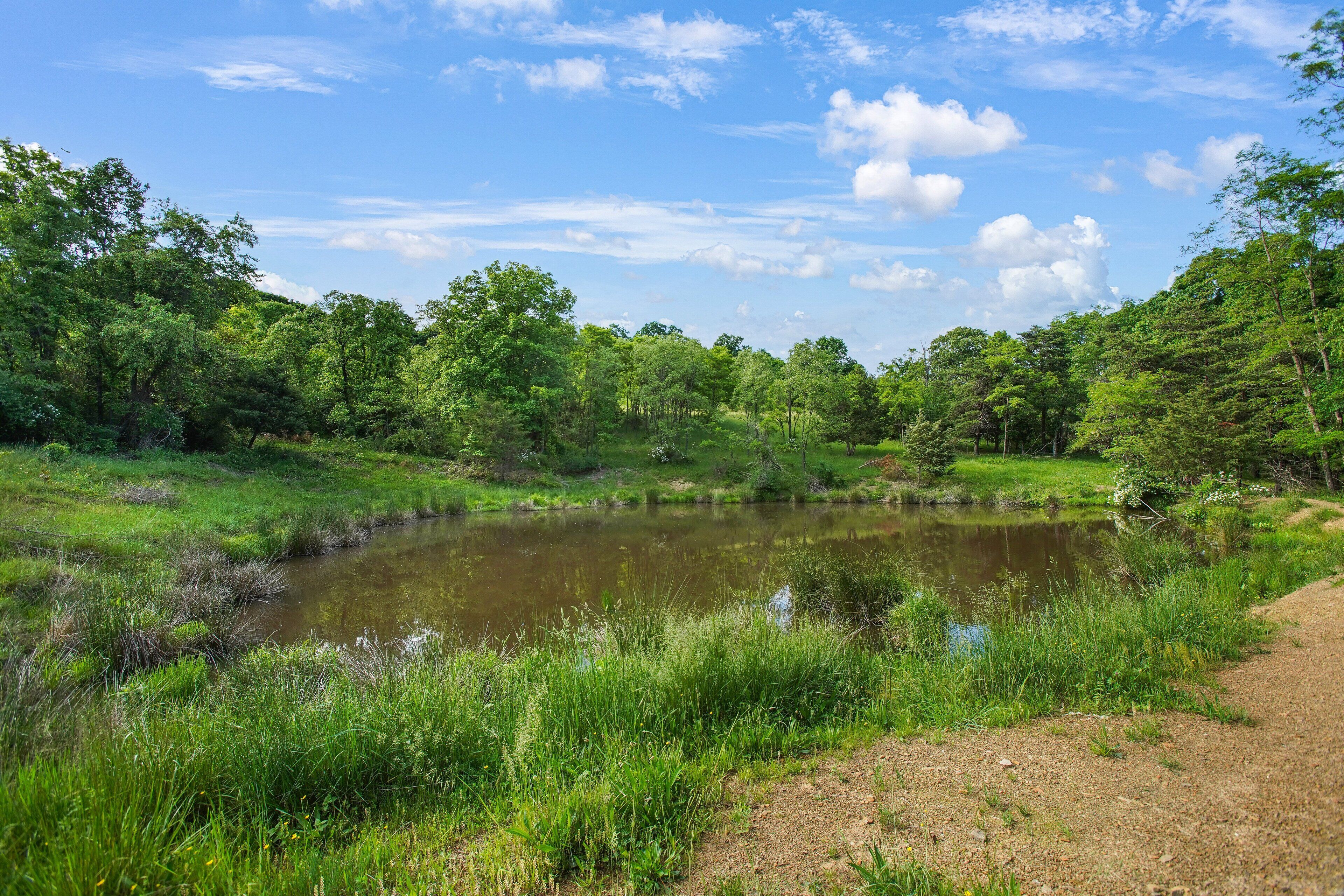 A natural landscape with a pond surrounded by lush greenery and trees.