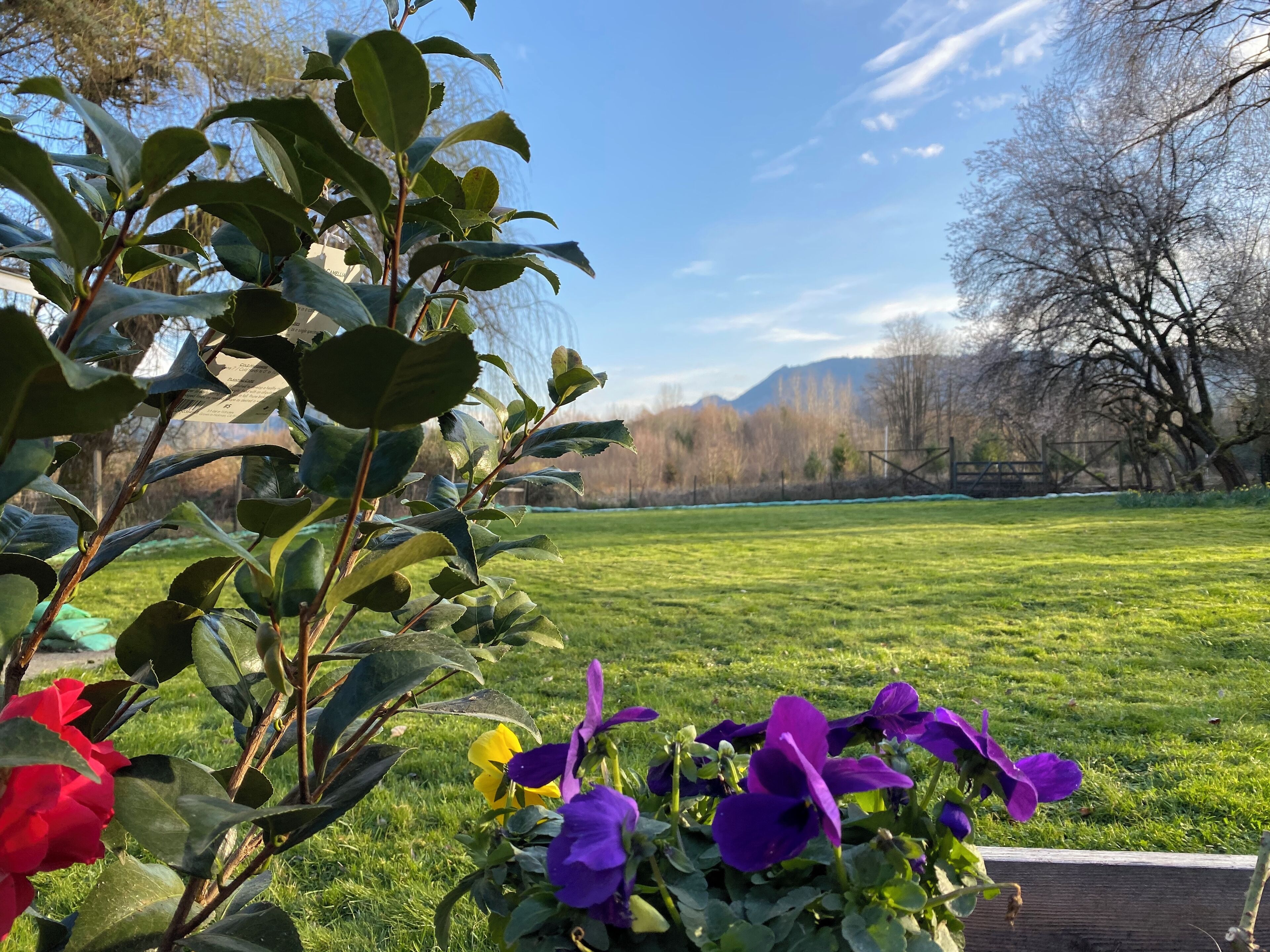 Sungri-La ☀ tranquil one-acre backyard with mountain views, next to a river park