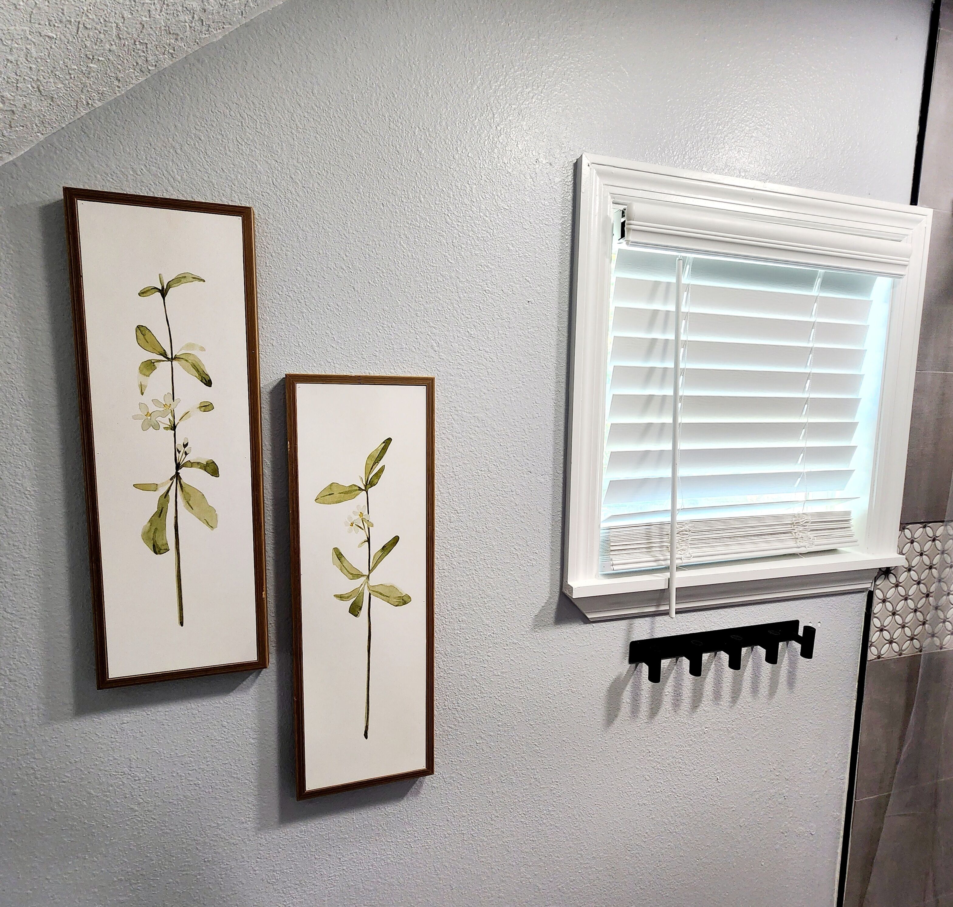 Two framed botanical prints on a textured wall, a window with blinds, and a black metal rack below.