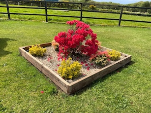 Fabulous colour 