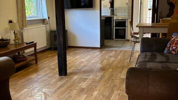 Televisión y estéreo