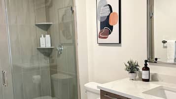 Shower, hair dryer, towels, soap