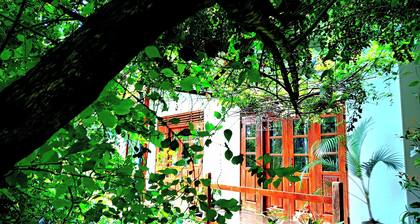 solitary resort