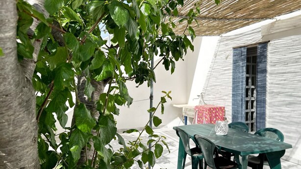 A covered outdoor seating area with a table and chairs, surrounded by greenery and a white building with blue shutters. - Villetta Zagara | outdoor space, a/c, 2 bedrooms (Porto Cesareo)