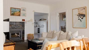 Smart TV, fireplace, books