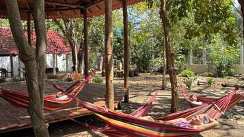 Un espacio al aire libre techado con hamacas y árboles.