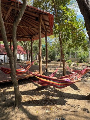 Property grounds - The Grand Mango (Tola)