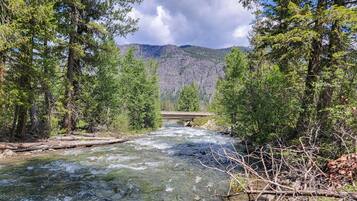 A river flowing through a forest with a bridge in the distance.