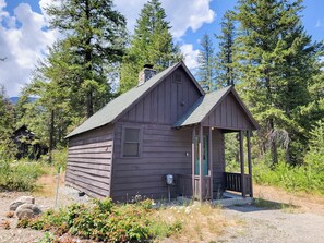 Una baita rustica con un portico, immersa in una fitta foresta e circondata dalle montagne.