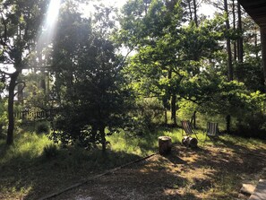 Relax in a serene natural setting surrounded by trees and a shaded grassy area.