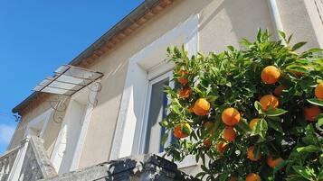 DĂ©tail de lâextĂ©rieur