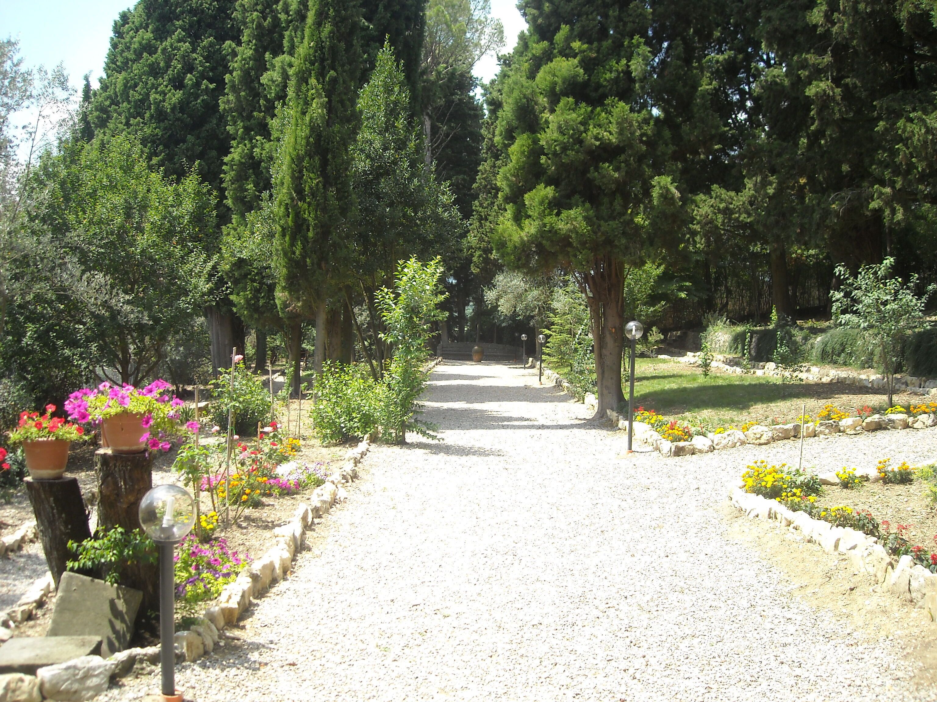 Un chemin de jardin recouvert de gravier, bordé de différentes plantes et fleurs.