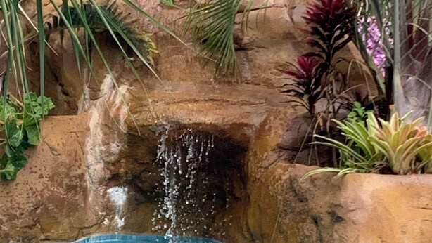 A pool with a waterfall feature surrounded by tropical plants.