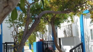 A pathway leading to a building with white and blue walls, a staircase, and a tree in the foreground.