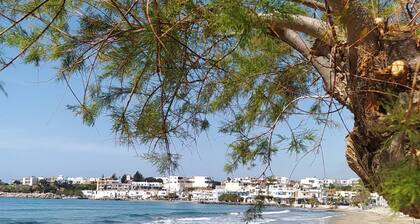 Sea View And Mountain View Apartment For 4 People