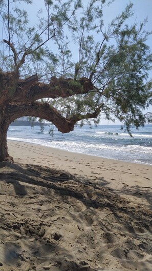 A beach with a large tree providing shade, sandy beach, and ocean waves. - Sea View And Mountain View Apartment For 4 People (Makrygialos)