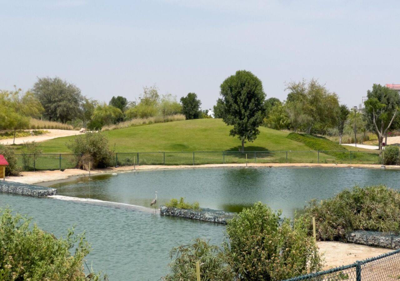 A serene park with a pond, a fenced walking path, and a variety of trees.