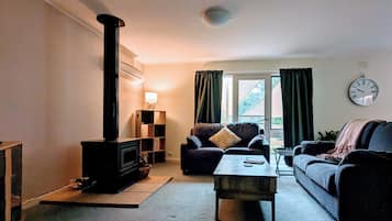 TV, fireplace, DVD player, books
