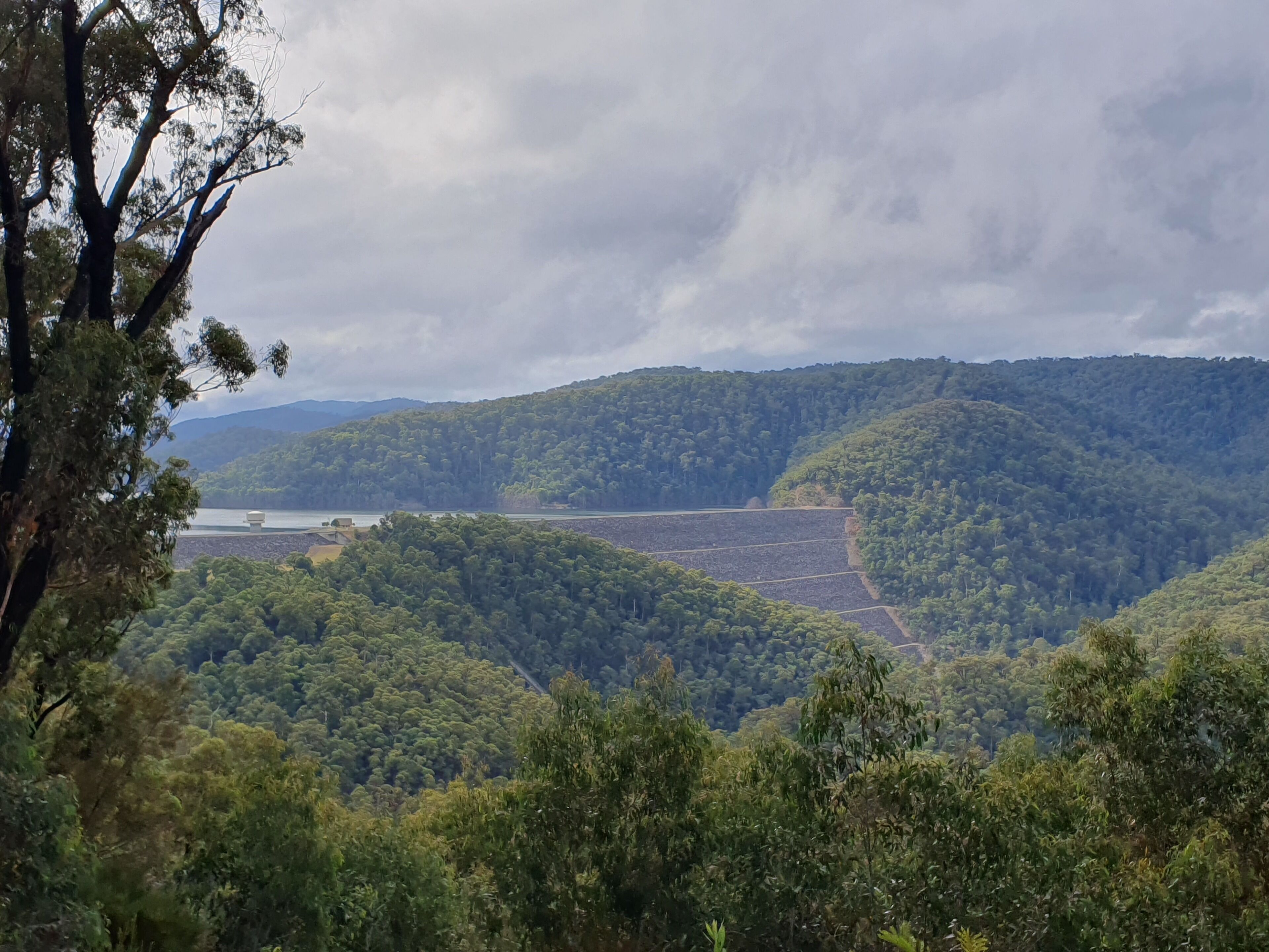 Un paysage caractérisé par une forêt dense, une étendue d’eau et un terrain vallonné.