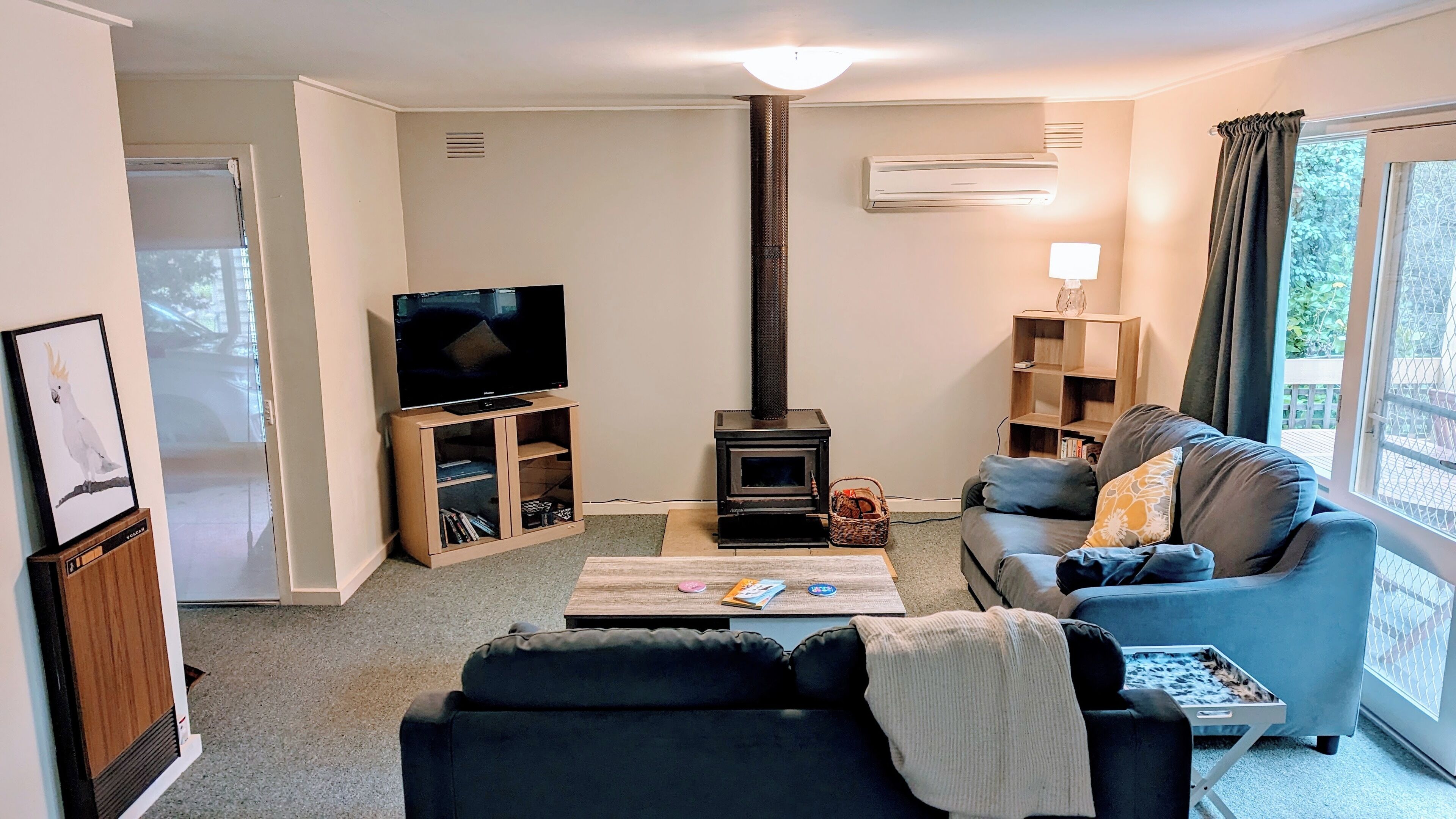 TV, fireplace, DVD player, books