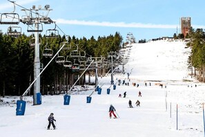 Snow and ski sports - behagliche Ferienwohnung in Elbingerode (Elbingerode)