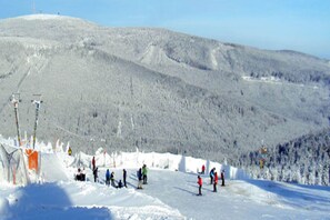 Snow and ski sports - behagliche Ferienwohnung in Elbingerode (Elbingerode)
