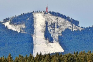 Miscellaneous - behagliche Ferienwohnung in Elbingerode (Elbingerode)