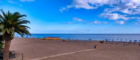Ein Strand mit Palmen, sandigem Ufer und blauem Himmel.