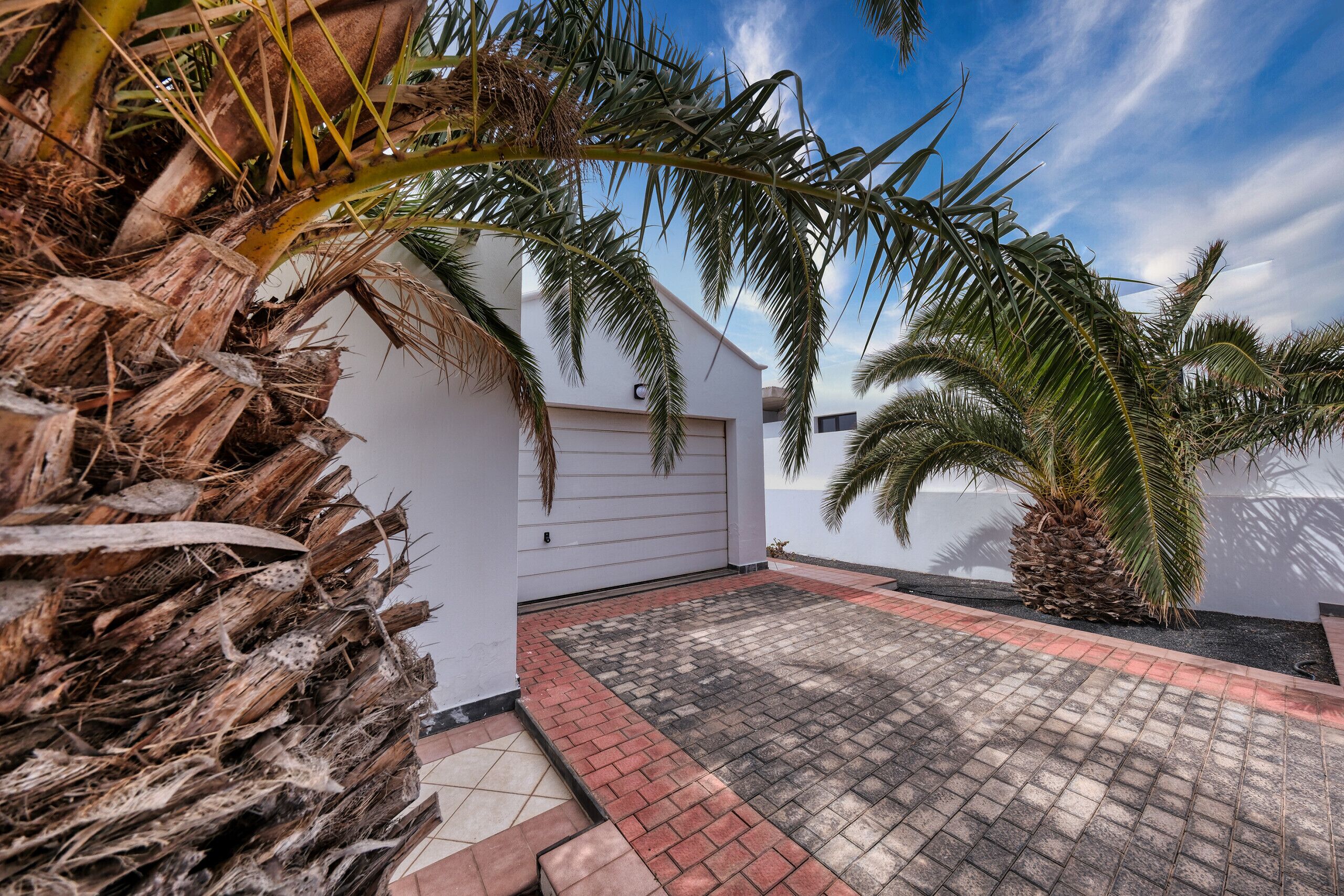 A modern house with a garage, a paved driveway, and a palm tree.