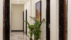 Un couloir doté d’un sol en marbre, de plantes en pot et de portes encadrées de marbre noir.